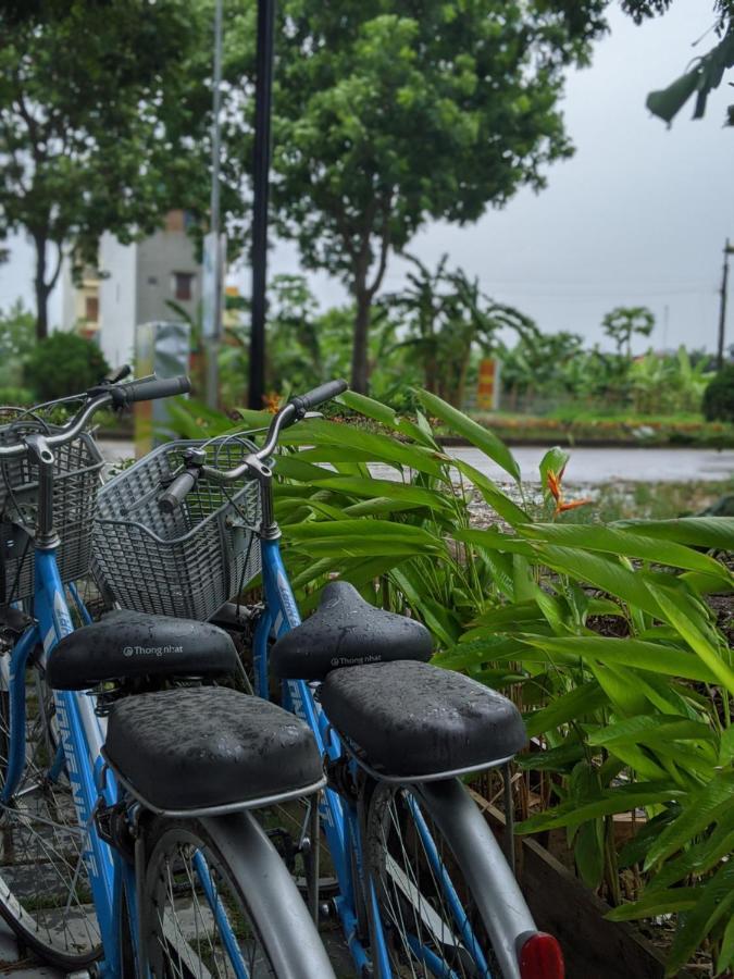 Cocoon Homestay Tam Coc Ninh Binh Exterior photo